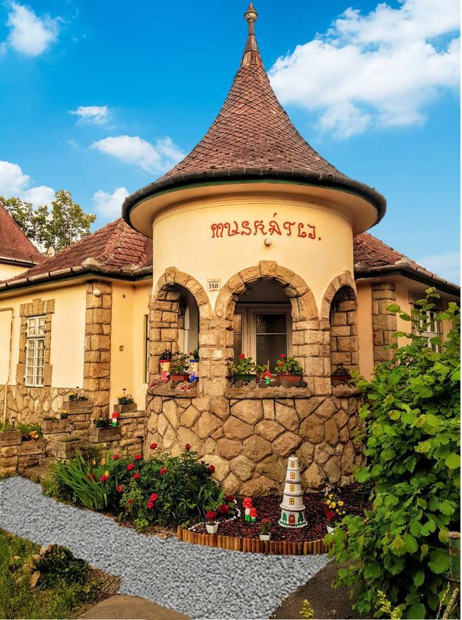 Bed and Breakfast Muskatli Udulohaz Parád Zewnętrze zdjęcie